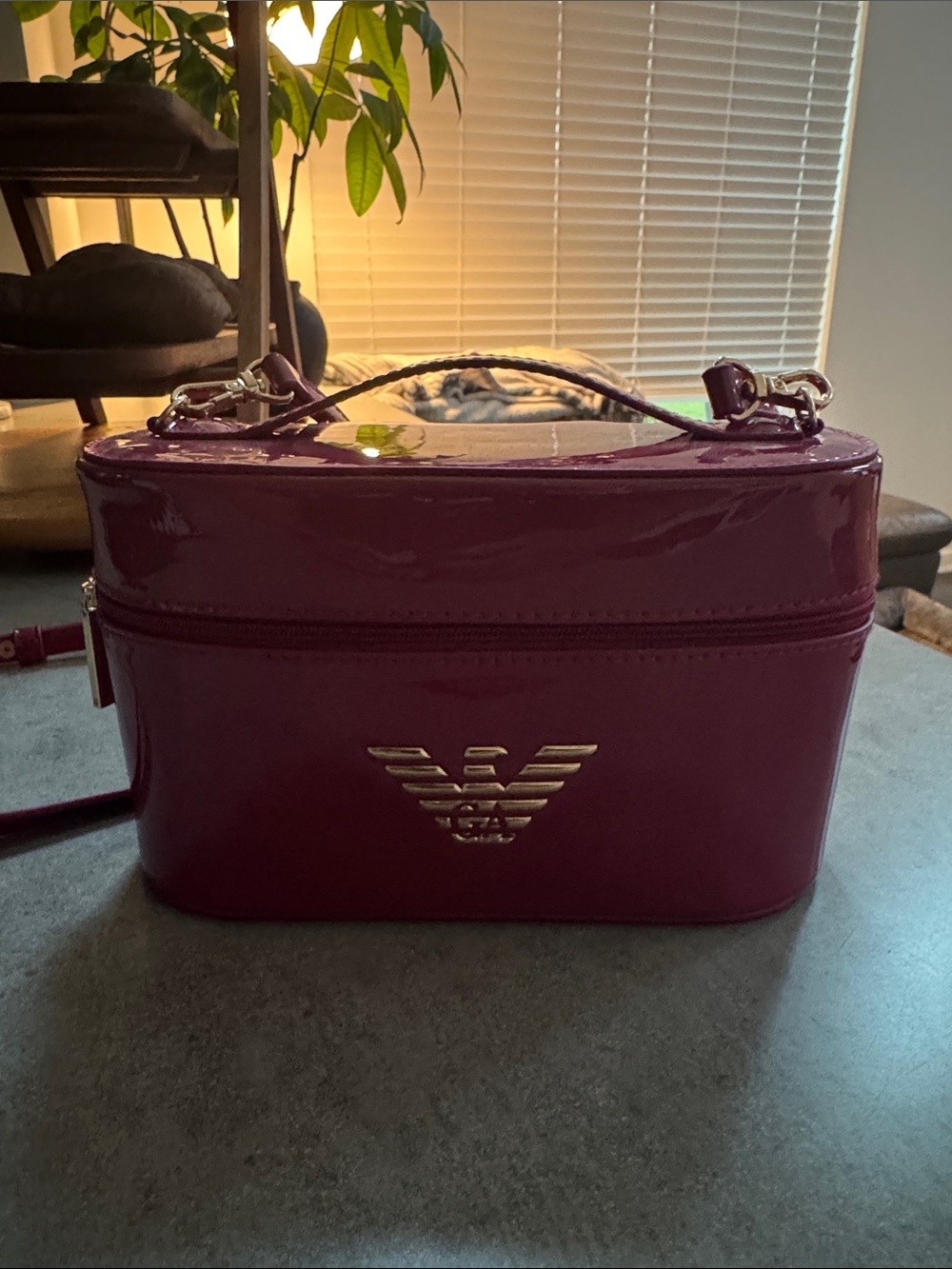 Emporio Armani Glossy Patent Cosmetic Bag in Plum